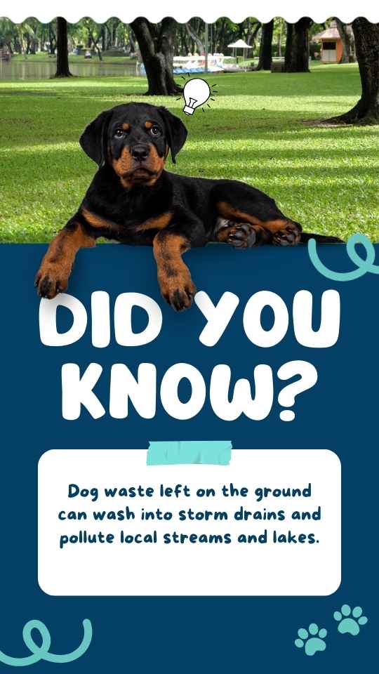 Dog poop cleanup fact